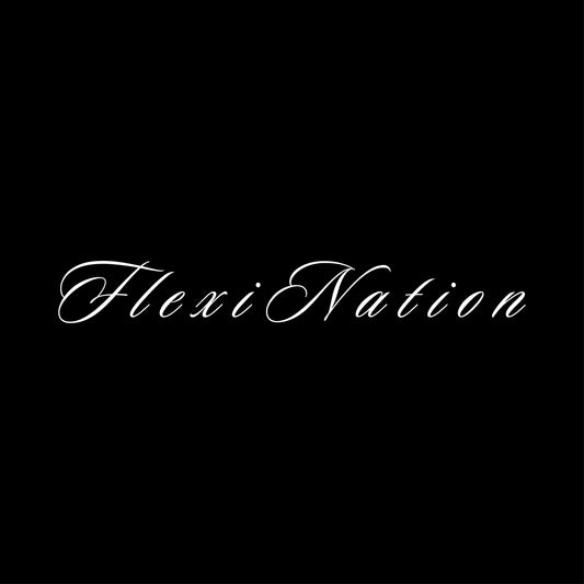 F l e x i   N a t i o n  WINDOW BANNER (WHITE)
